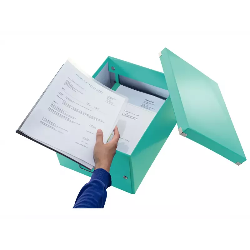 Hoiukarp Leitz Click & Store Medium karp