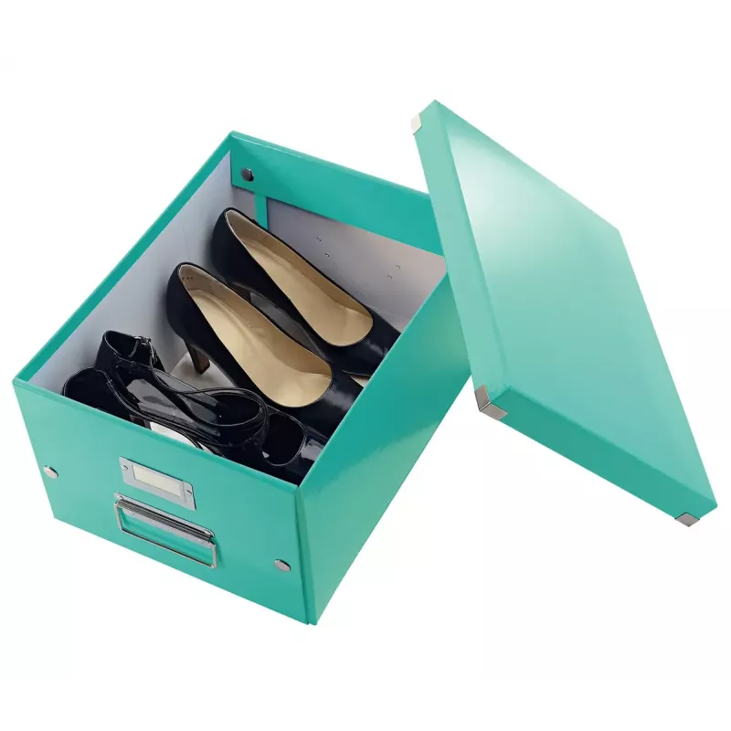 Hoiukarp Leitz Click & Store Medium karp