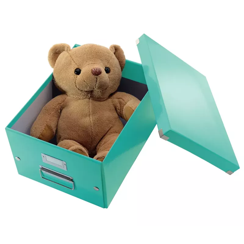 Hoiukarp Leitz Click & Store Medium karp