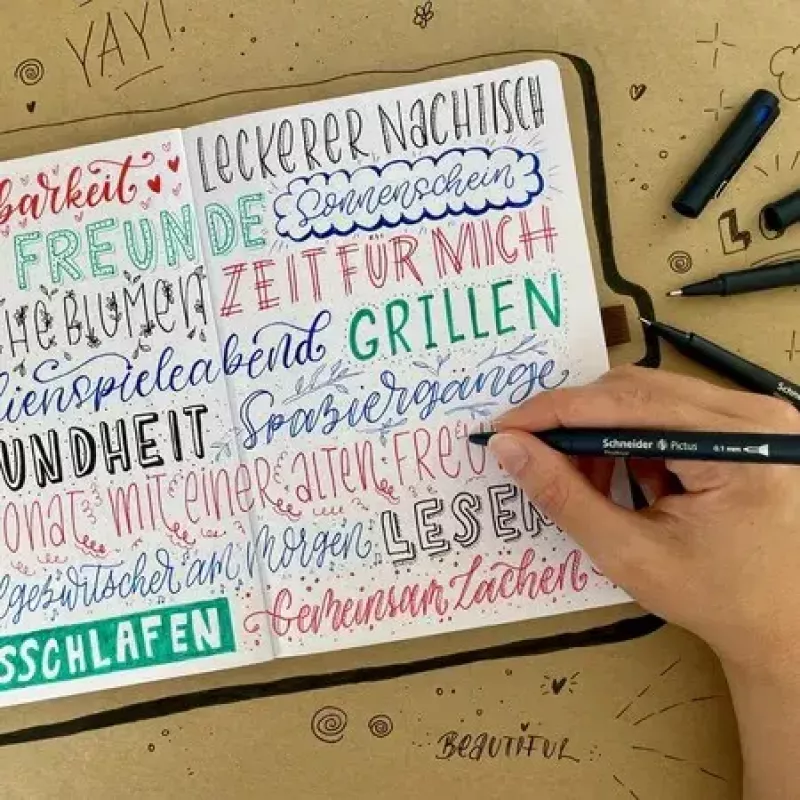 Fineliner Schneider Schreibgeräte Pictus Must Blue roheline Red 5 tk
