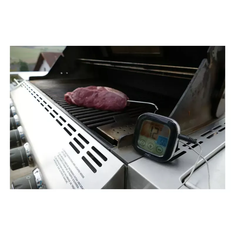 Digital BBQ Meat Thermometer tfa dostmann 14.1509.01 — AAA patarei, 72×72×25 mm