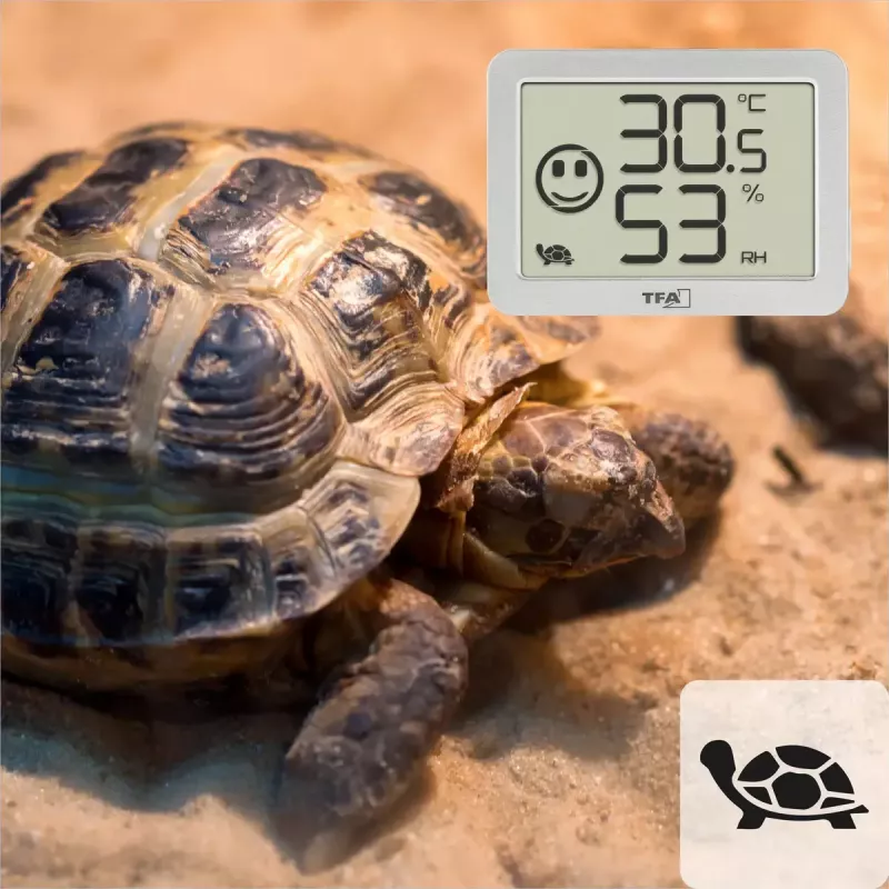 Sisetemperatuuri ja -niiskuse andur TFA-Dostmann 30.5055.02 eraldiseisev juhtmevaba