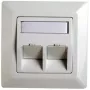 RJ45 adapterraam Cat.5e Telegärtner H02010A0040 45° kahekordne 80x80 mm alpi valge