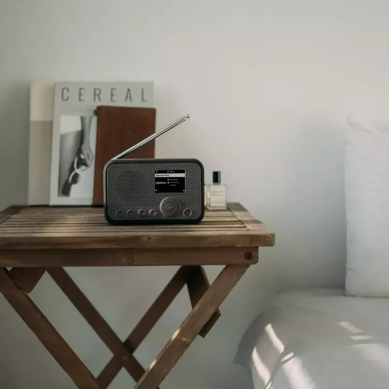 Kaasaskantav raadio Sangean WFR-39 DAB FM 1W RMS