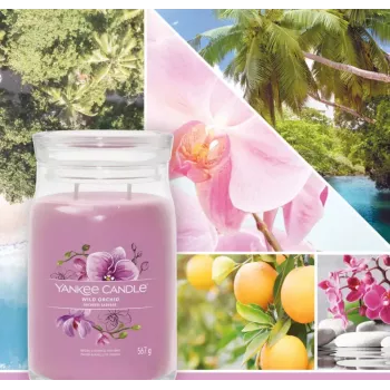 Vahaküünal Yankee Candle Wild Orchid Kõrgus 157 mm Laius 93 mm