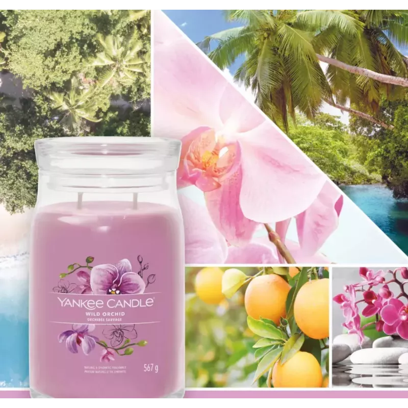 Vahaküünal Yankee Candle Wild Orchid Kõrgus 157 mm Laius 93 mm