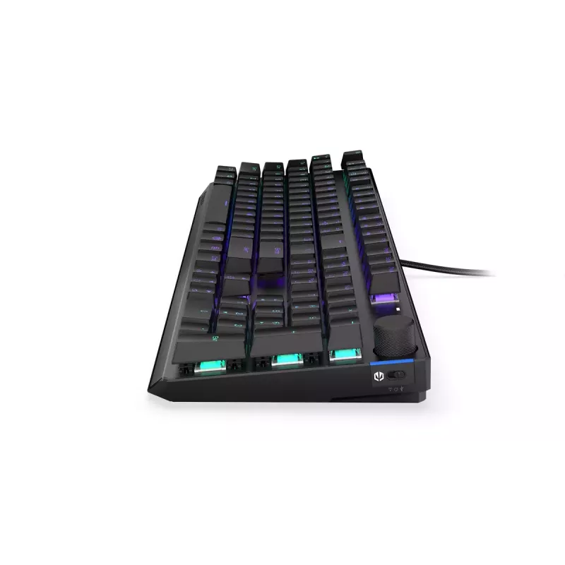 Mänguklaviatuur ENDORFY Thock RF Wireless USB Mechanical RGB Must