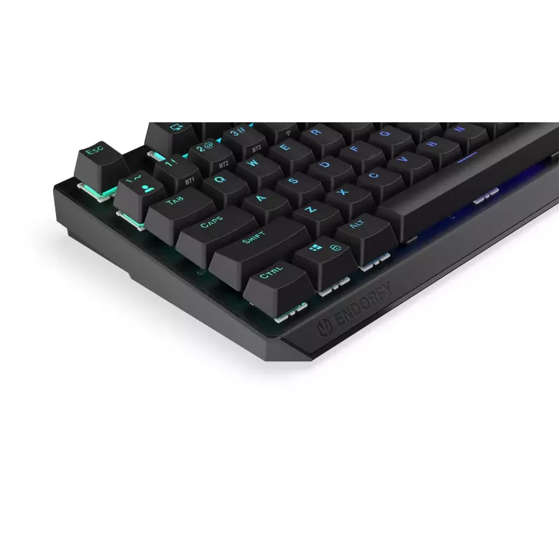 Mänguklaviatuur ENDORFY Thock RF Wireless USB Mechanical RGB Must