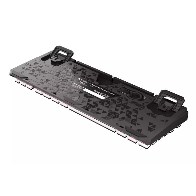 Mänguklaviatuur ENDORFY TKL USB mehaaniline 87 klahvi RGB must