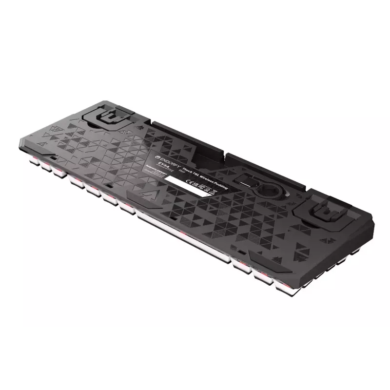Mänguklaviatuur ENDORFY TKL USB mehaaniline 87 klahvi RGB must