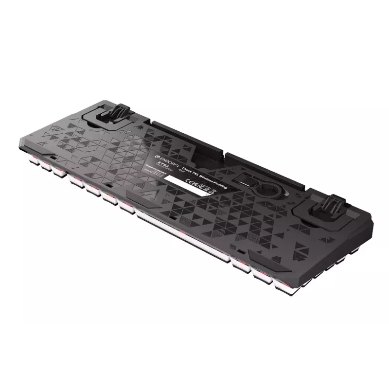 Mänguklaviatuur ENDORFY TKL USB mehaaniline 87 klahvi RGB must