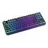 Mänguklaviatuur ENDORFY TKL USB mehaaniline 87 klahvi RGB must