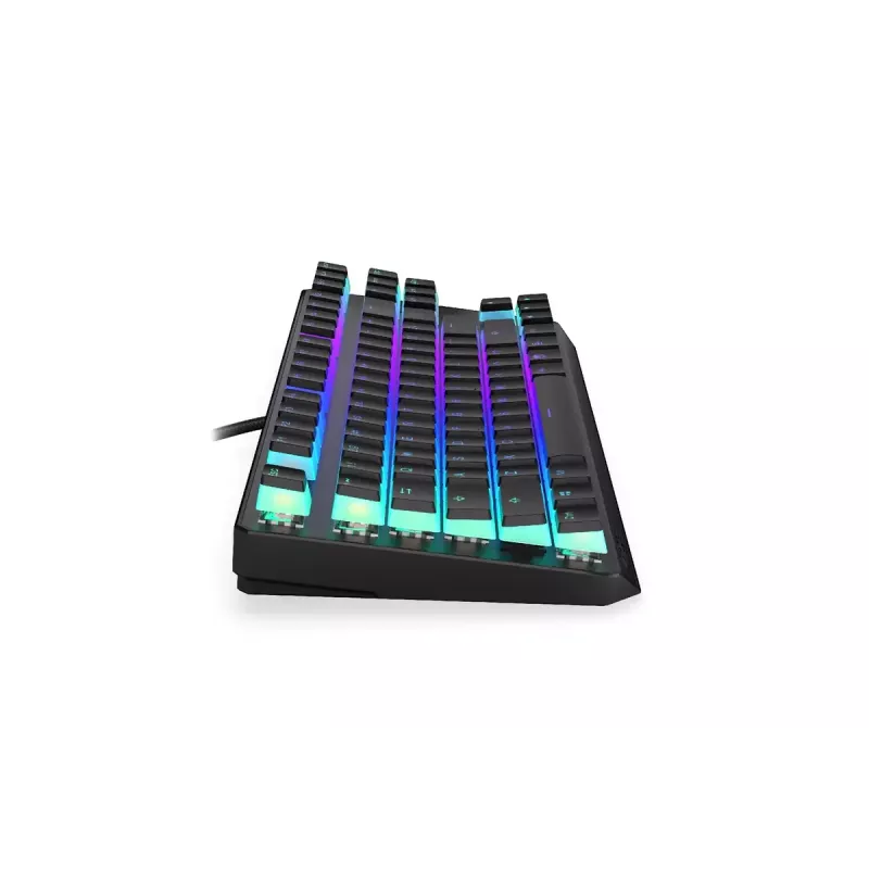 Mänguklaviatuur ENDORFY TKL USB mehaaniline 87 klahvi RGB must