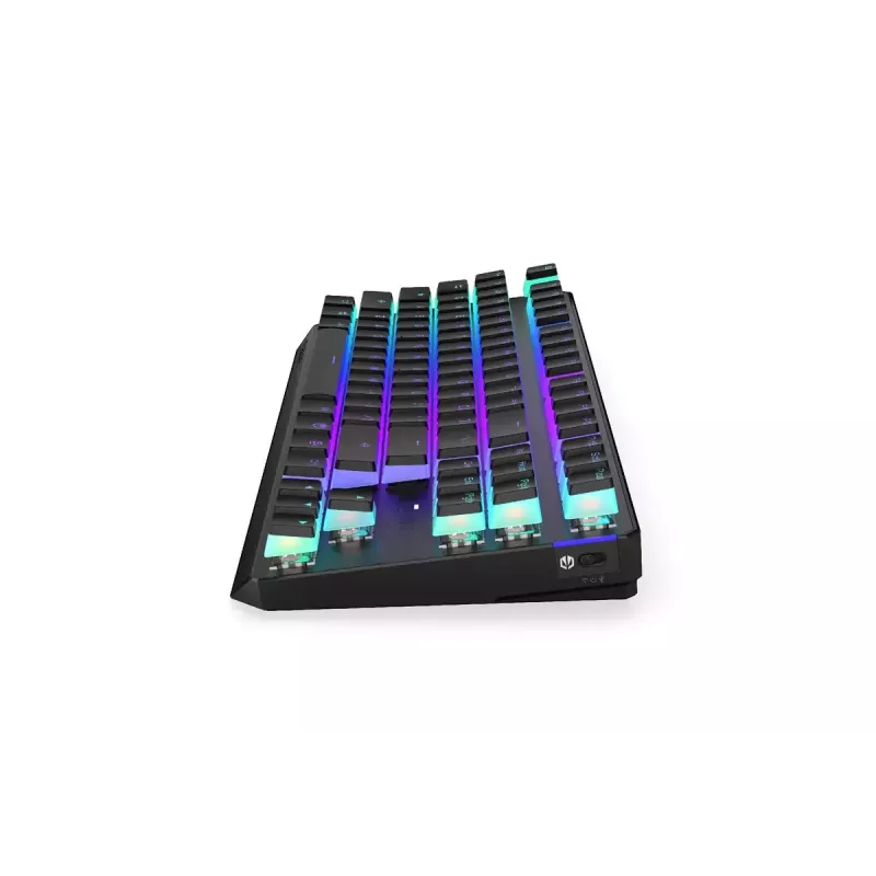 Mänguklaviatuur ENDORFY TKL USB mehaaniline 87 klahvi RGB must