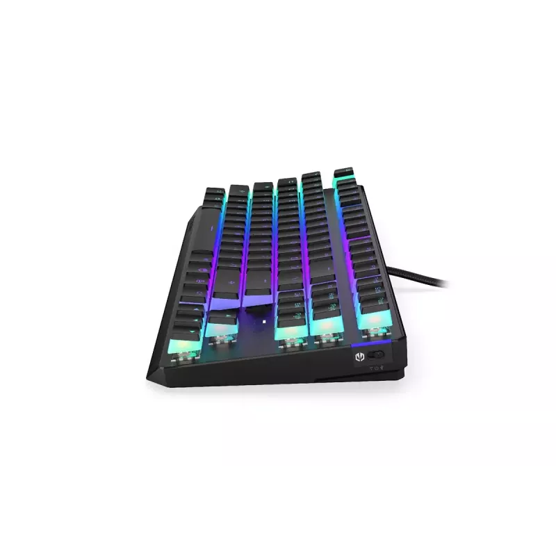 Mänguklaviatuur ENDORFY TKL USB mehaaniline 87 klahvi RGB must