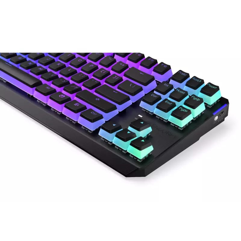 Mänguklaviatuur ENDORFY TKL USB mehaaniline 87 klahvi RGB must