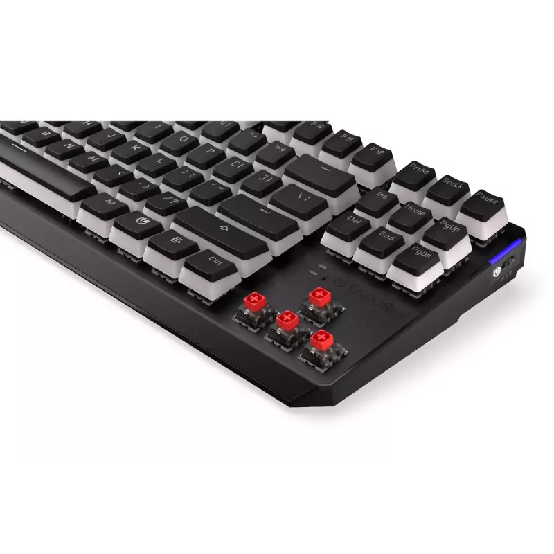 Mänguklaviatuur ENDORFY TKL USB mehaaniline 87 klahvi RGB must