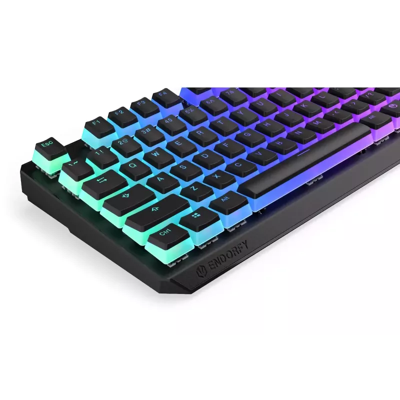Mänguklaviatuur ENDORFY TKL USB mehaaniline 87 klahvi RGB must