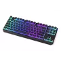 Mänguklaviatuur ENDORFY TKL USB mehaaniline 87 klahvi RGB must