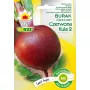 Peet 'Czerwona Kula' (Beta vulgaris) Torafi seemned — 6 kuud säilivusaega