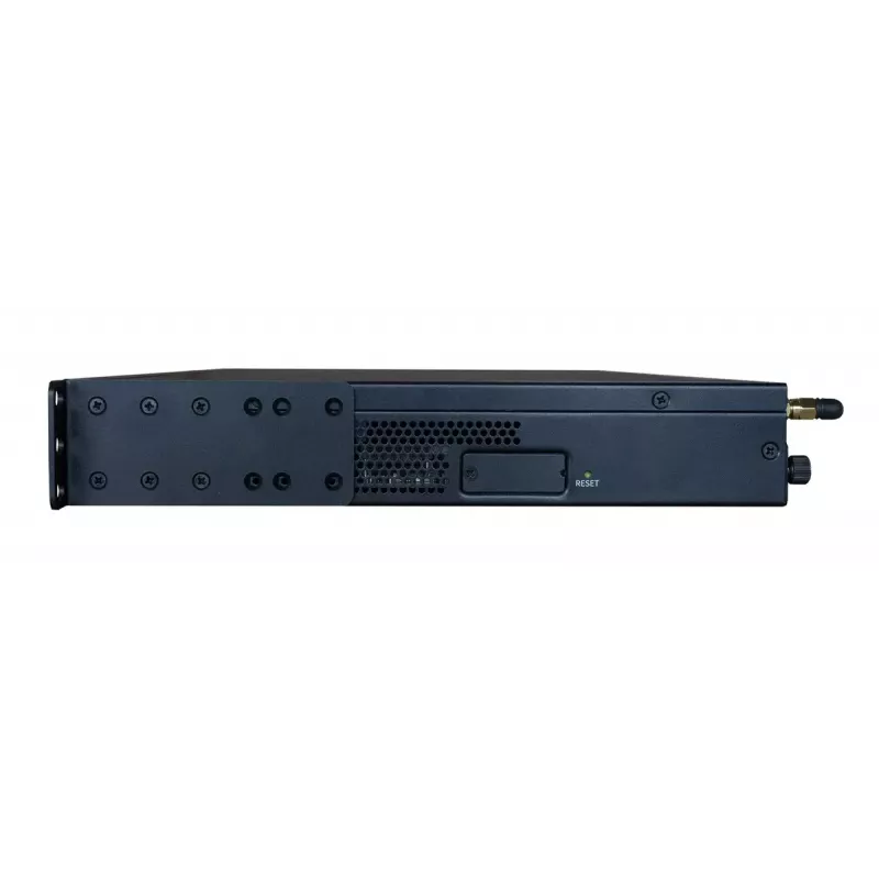 Liidese jaotur Digi AW24-G300