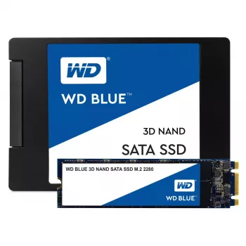 SSD ketas Western Digital 250 GB M.2 6 Gbit/s WDS250G2B0B