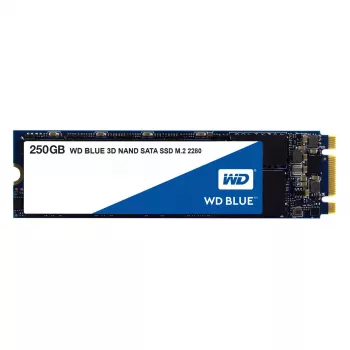 SSD ketas Western Digital 250 GB M.2 6 Gbit/s WDS250G2B0B