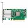 Võrgukaart Mellanox Technologies MCX556A-ECAT