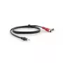 Audio kaabel Kramer Electronics C-A35M/2RAM-3 0.9m 3.5mm 2xRCA Must