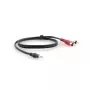 Audio kaabel Kramer Electronics C-A35M/2RAM-35 10,7 m 3,5 mm 2xRCA Must