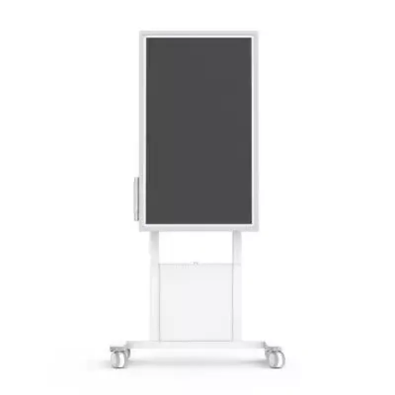 Mobile Motorized Flipster 2 SMS Smart Media Solutions 50 kg 55-65 tolli