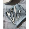 Kööginugade komplekt ALESSI BG02S24 — lauanoad ja kahvlid, roostevaba teras