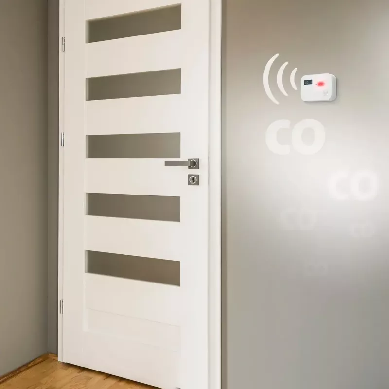 Süsinikmonooksiidi andur Alecto COA3910 — elektrokeemiline CO-andur, patareitoitega, valge, 110×78×37 mm