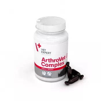 VETEXPERT ArthroVet Collagen Small breed - toidulisandid koertele ja kassidele - 60 tabletti