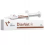 VetExpert Diarvet pasta 20g