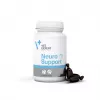 VetExpert NeuroSupport 45 kapslit.