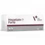 VetExpert Hepatiale Forte 40 tabletti.