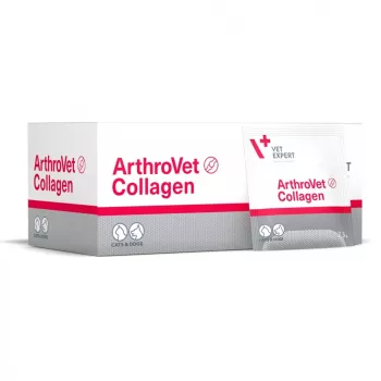 VETEXPERT ArthroVet Collagen - toidulisandid koertele ja kassidele - 60 kotikest