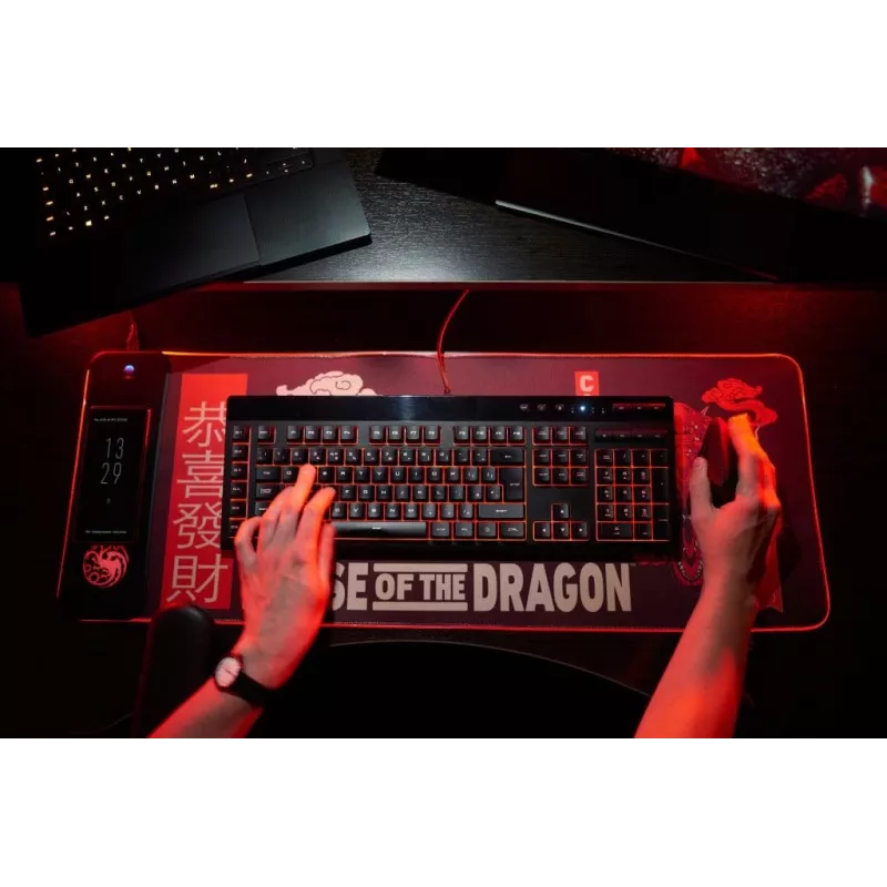 Numskull hiir Pad House of Dragons + wireless Charge 30x80cm