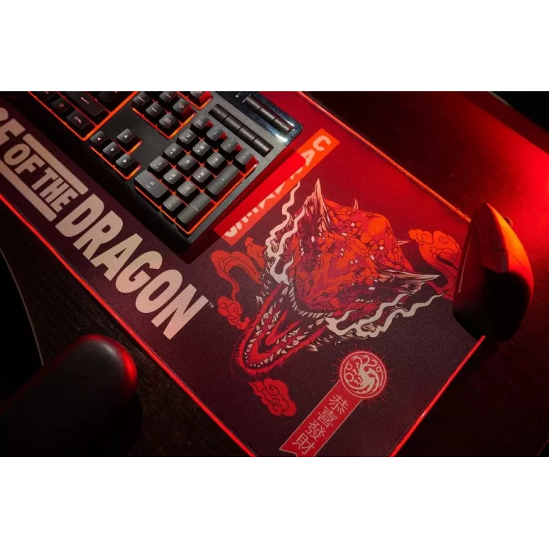 Numskull hiir Pad House of Dragons + wireless Charge 30x80cm