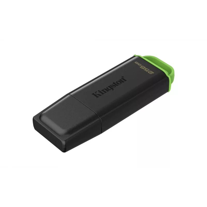 Kingston Technology DataTraveler 256GB kaasaskantav USB 3.2 Gen 1 Exodia must/roheline