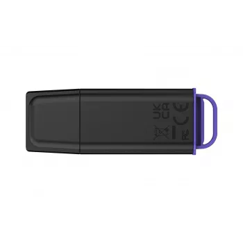 Kingston Technology DataTraveler 512GB kaasaskantav USB 3.2 Gen 1 Exodia must/lilla