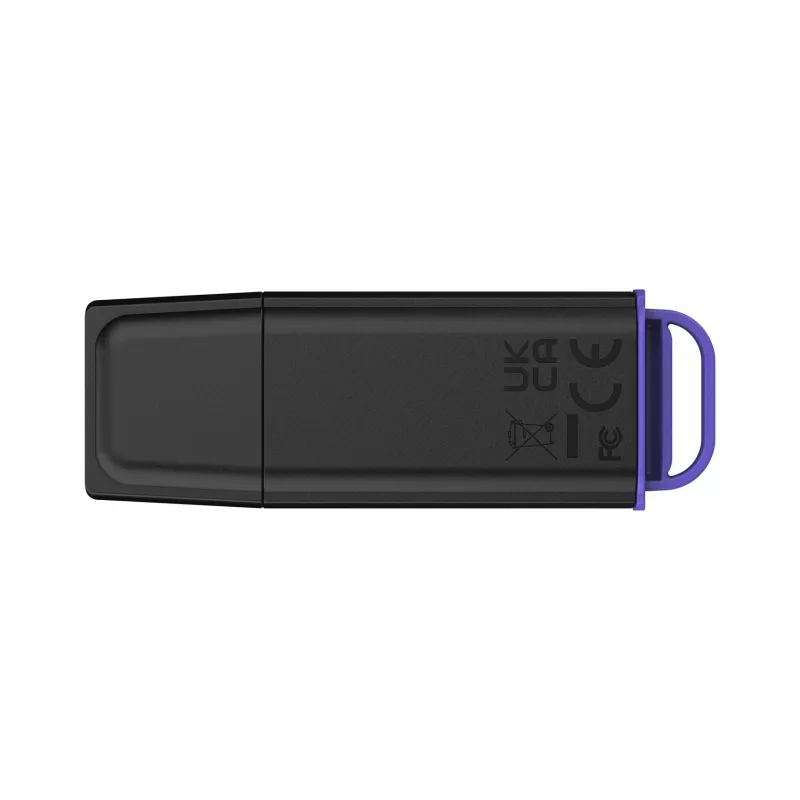 Kingston Technology DataTraveler 512GB kaasaskantav USB 3.2 Gen 1 Exodia must/lilla