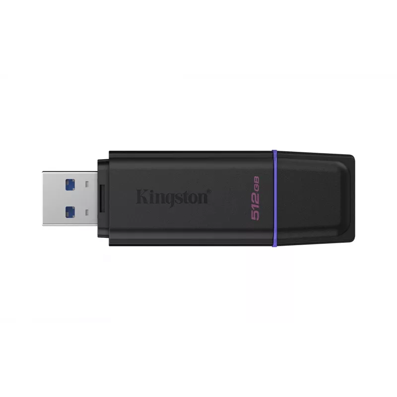 Kingston Technology DataTraveler 512GB kaasaskantav USB 3.2 Gen 1 Exodia must/lilla