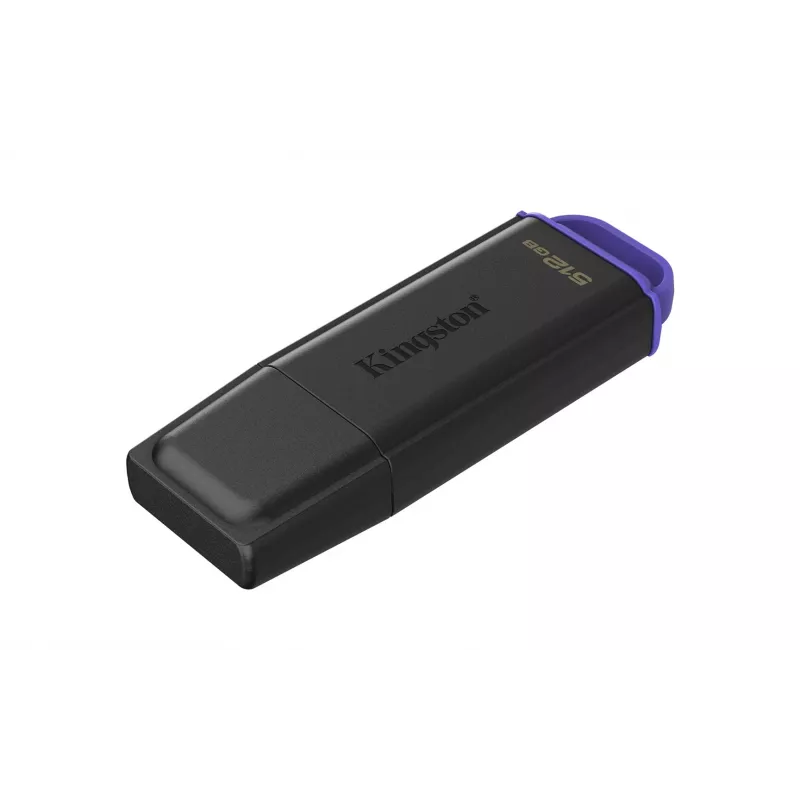 Kingston Technology DataTraveler 512GB kaasaskantav USB 3.2 Gen 1 Exodia must/lilla