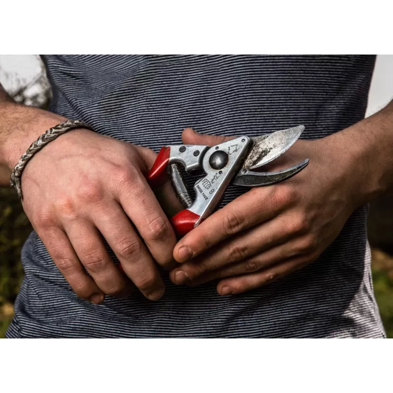 Oksakäärid Felco FELCO-8_FEL