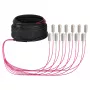 EFB Trunk kaabel U-DQ(ZN)BH OM4 12G (1x12) SC-SC 10m Dca LSZH