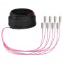 EFB Trunk kaabel U-DQ(ZN)BH OM4 8G (1x8) SC-SC 10m Dca LSZH