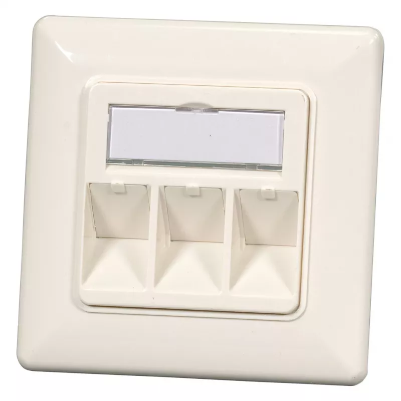 EFB Elektronik 2-pordiline Keystone raamikomplekt ET-25091 — sirge DIN49075 pesa, RAL9003 valge, 80×80 mm raam 50×50 mm keskplaadiga