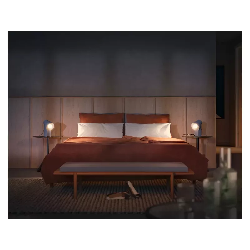 Philips Hue Valge ambience A60 – E27 nutipirn – 1100 (2 tk)